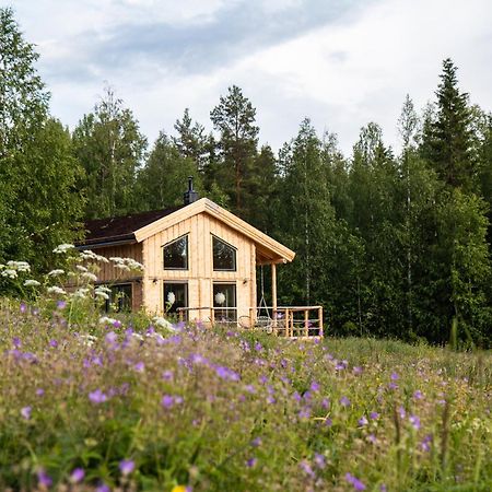 Blueberry Lodge 5 Personnes Mjolan エクステリア 写真