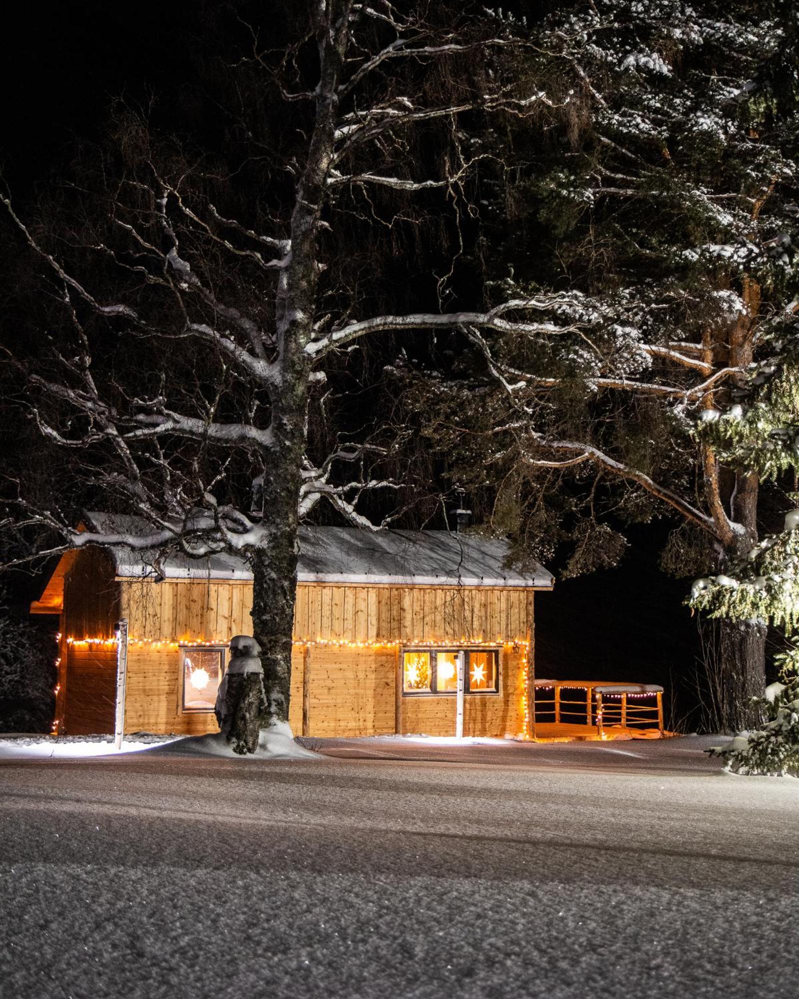 Blueberry Lodge 5 Personnes Mjolan エクステリア 写真